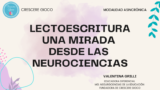 TALLER LECTOESTRICUTRA UNA MIRADA  DESDE LAS  NEUROCIENCIAS